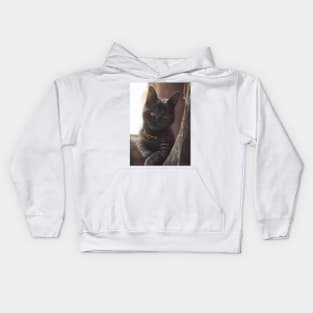 Mystic Mage Cat: Sigfried Kids Hoodie